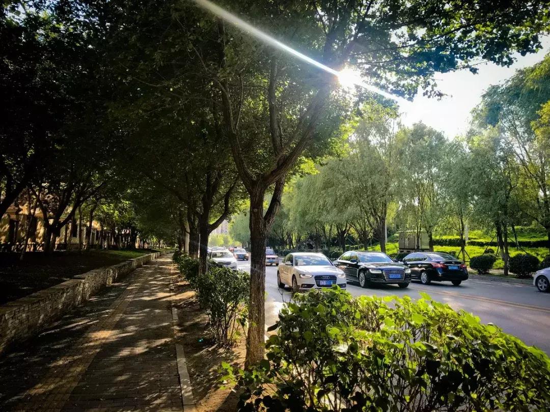 沈马绝美图片,沈马最好看的照片