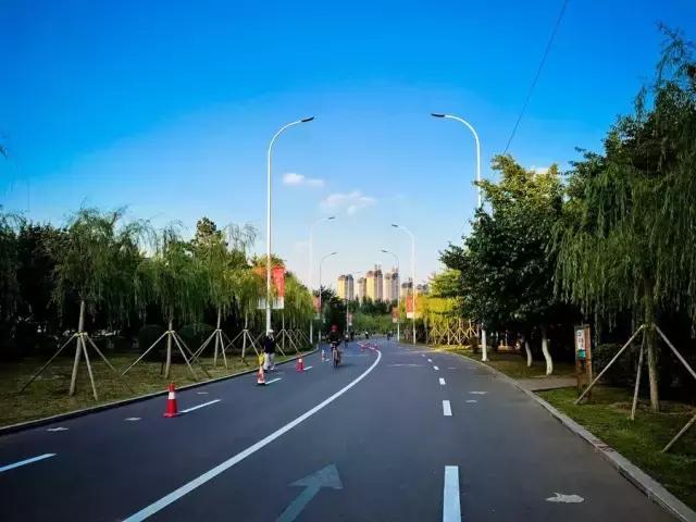 沈马绝美图片,沈马最好看的照片