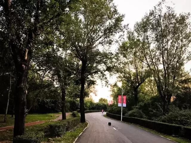 沈马绝美图片,沈马最好看的照片