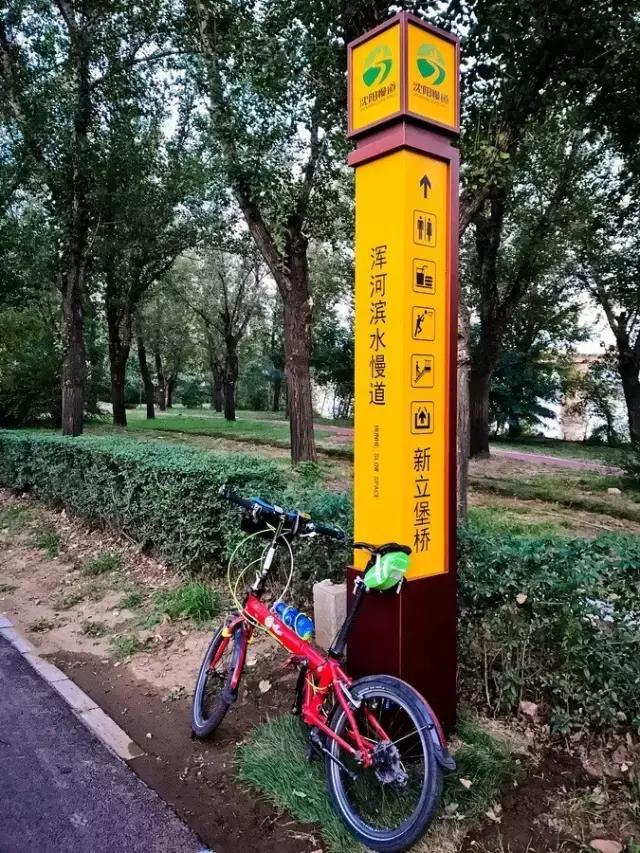 沈马绝美图片,沈马最好看的照片