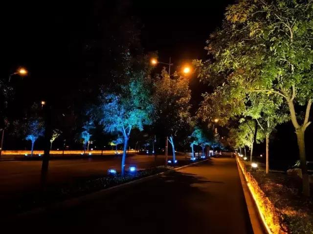 沈马绝美图片,沈马最好看的照片