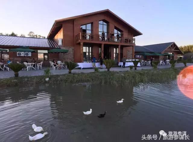 吉林马场推荐,吉林太平马场都有啥