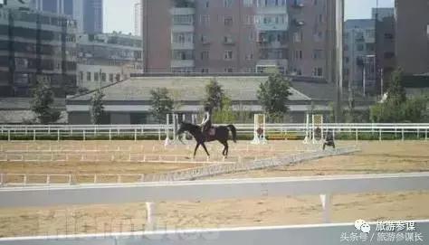 吉林马场推荐,吉林太平马场都有啥