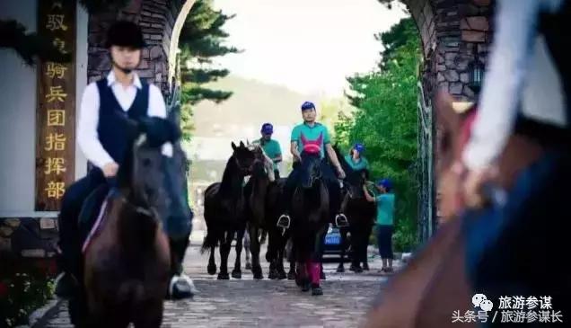 吉林马场推荐,吉林太平马场都有啥