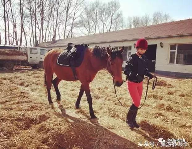 吉林马场推荐,吉林太平马场都有啥