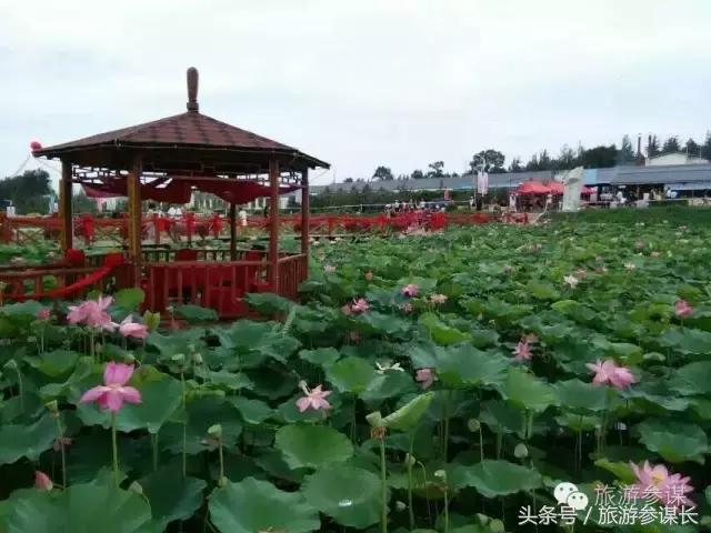 长春温泉推荐排行榜最新,长春泡温泉推荐的好地方