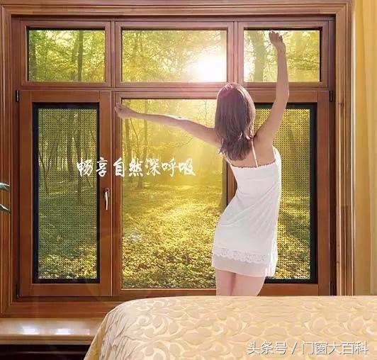 经典铝包木窗价格表,最新款铝包木门窗