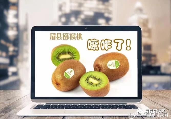 眉县猕猴桃真实故事,眉县猕猴桃最近几天能有吗