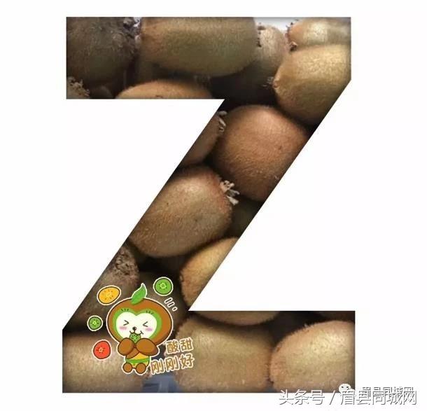 眉县猕猴桃真实故事,眉县猕猴桃最近几天能有吗