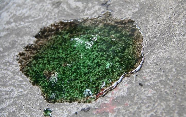 汽车养护小窍门搞笑,汽车油迹怎么清洁