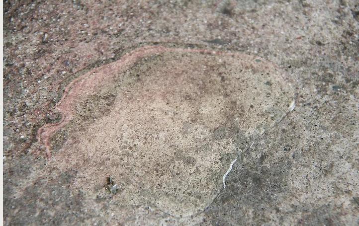 汽车养护小窍门搞笑,汽车油迹怎么清洁