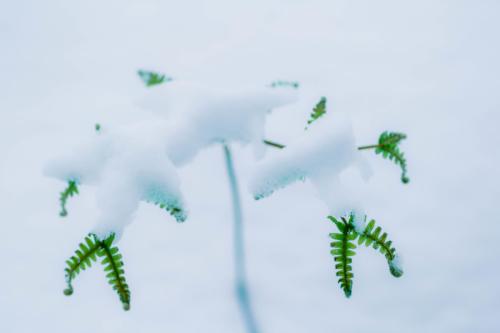 如何了解期刊,如何了解期刊并投稿