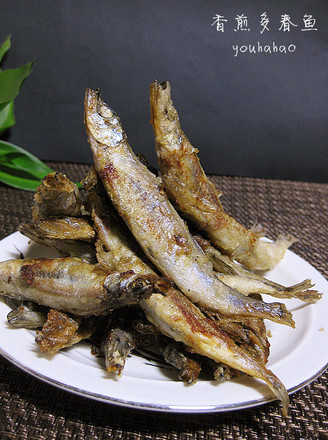 各种鱼的家常做法菜谱,这9种鱼的做法家常宴客都合适