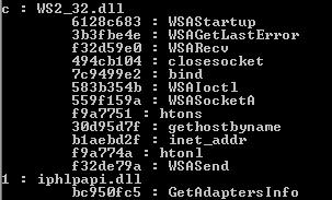 以自定义格式反转恶意软件｜隐藏的蜜蜂元素