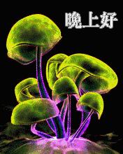 晚安经典语录微商励志图片,微商晚安正能量朋友圈高质量句子