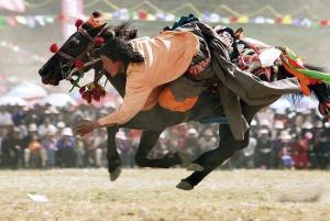 各属相的吉祥属相,十二生肖属相的寓意