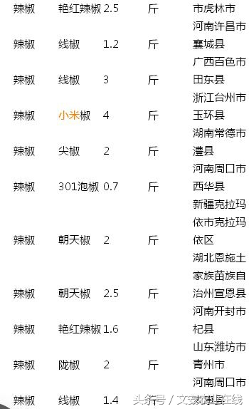 9月份辣椒的价格行情,徐闻辣椒价格最新行情