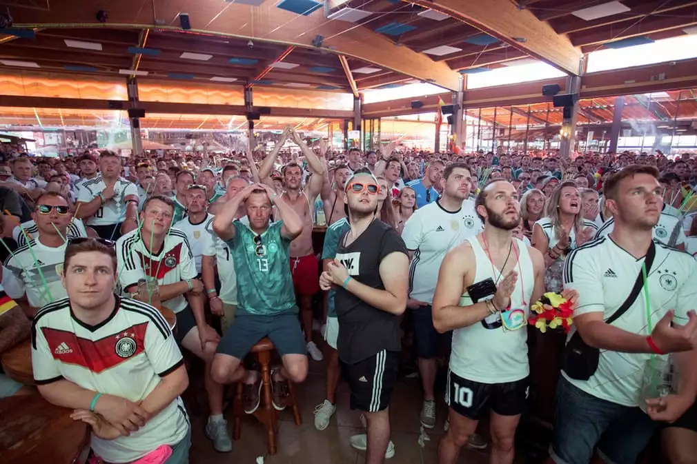 德国足协,德国足协组织架构图