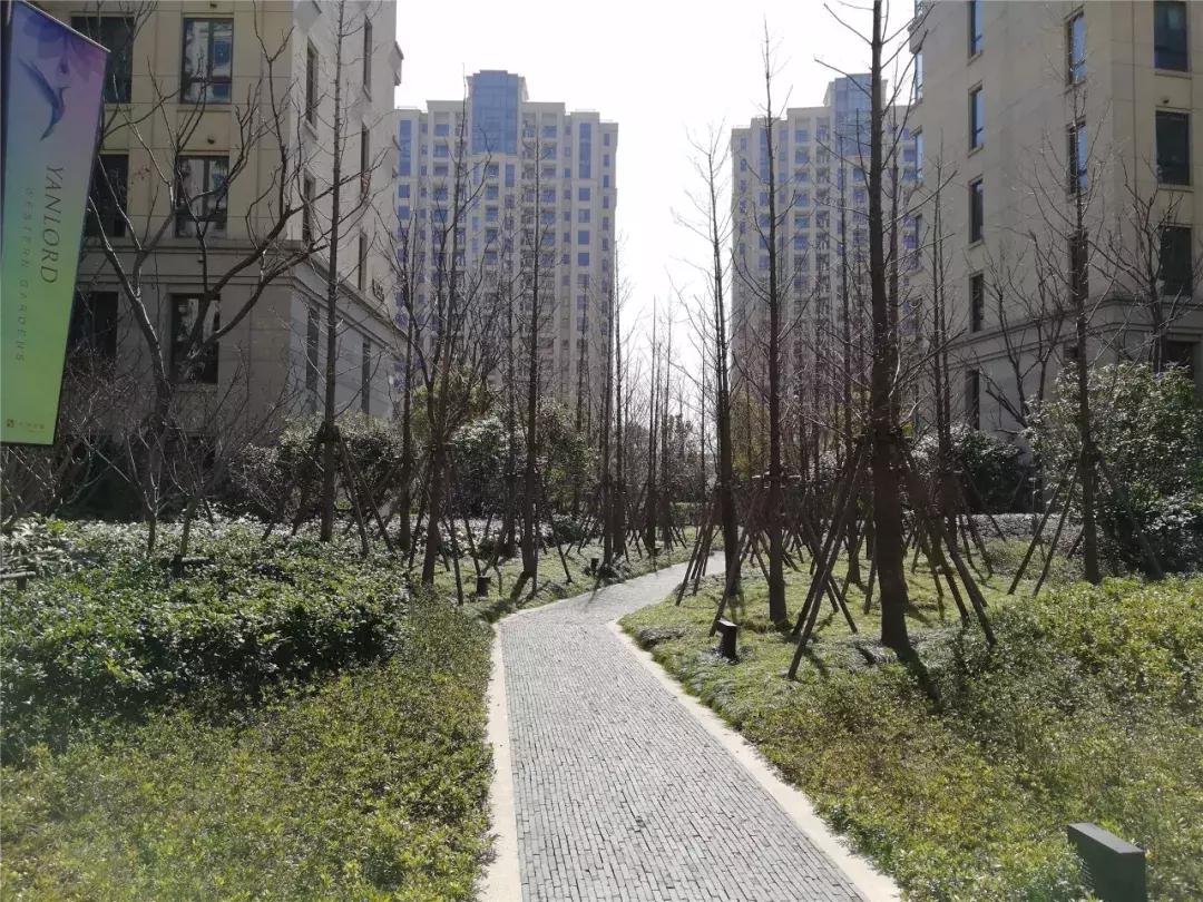 策划｜高成本之下仁恒如何守住“初心”？