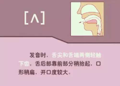 英语48个音标发音教学书籍,英语26个音标发音学习附详细图解