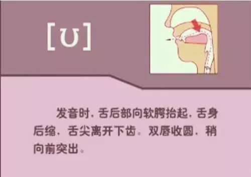 英语48个音标发音教学书籍,英语26个音标发音学习附详细图解