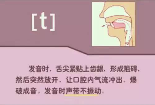 英语48个音标发音教学书籍,英语26个音标发音学习附详细图解