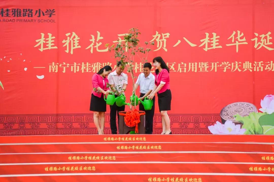 南宁小学开学典礼直播,直击南阳市小学开学现场