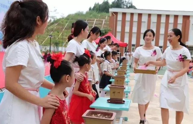 南宁小学开学典礼直播,直击南阳市小学开学现场