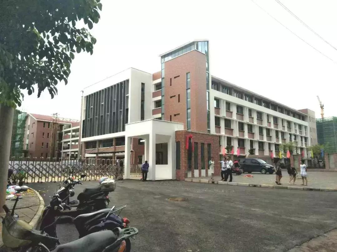 南宁小学开学典礼直播,直击南阳市小学开学现场