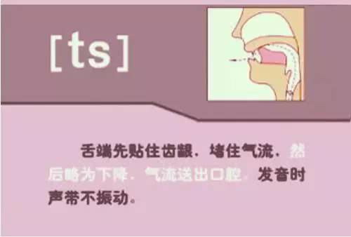 英语48个音标发音教学书籍,英语26个音标发音学习附详细图解