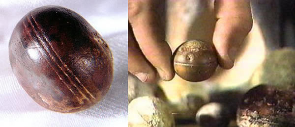 什么是史前文明,远古文明真相大揭秘