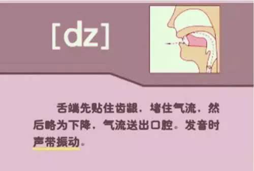 英语48个音标发音教学书籍,英语26个音标发音学习附详细图解