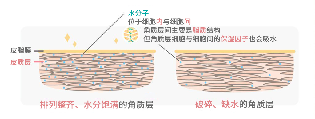 清洁面膜补水面膜美白面膜的顺序,美白3部曲面膜