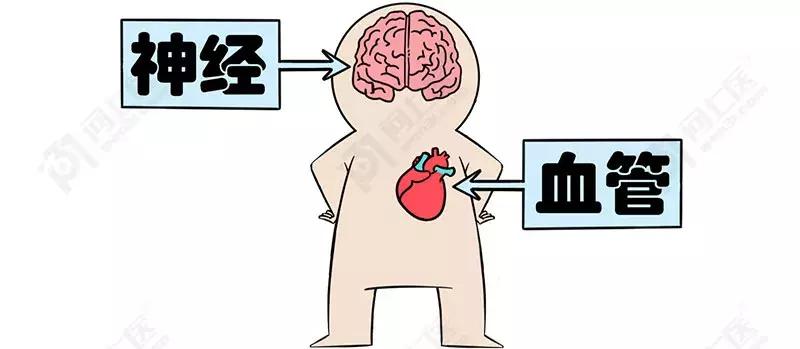 性功能障碍为啥偏爱糖尿病人？怎么做才能有效预防、恢复功能？