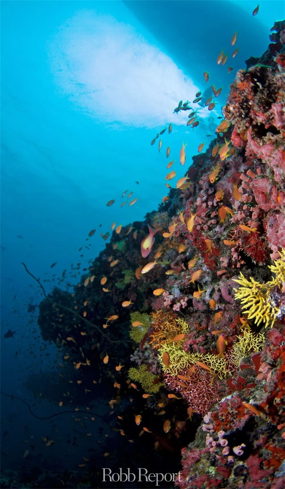 成都看世界主题酒店,东方甄选看世界酒店