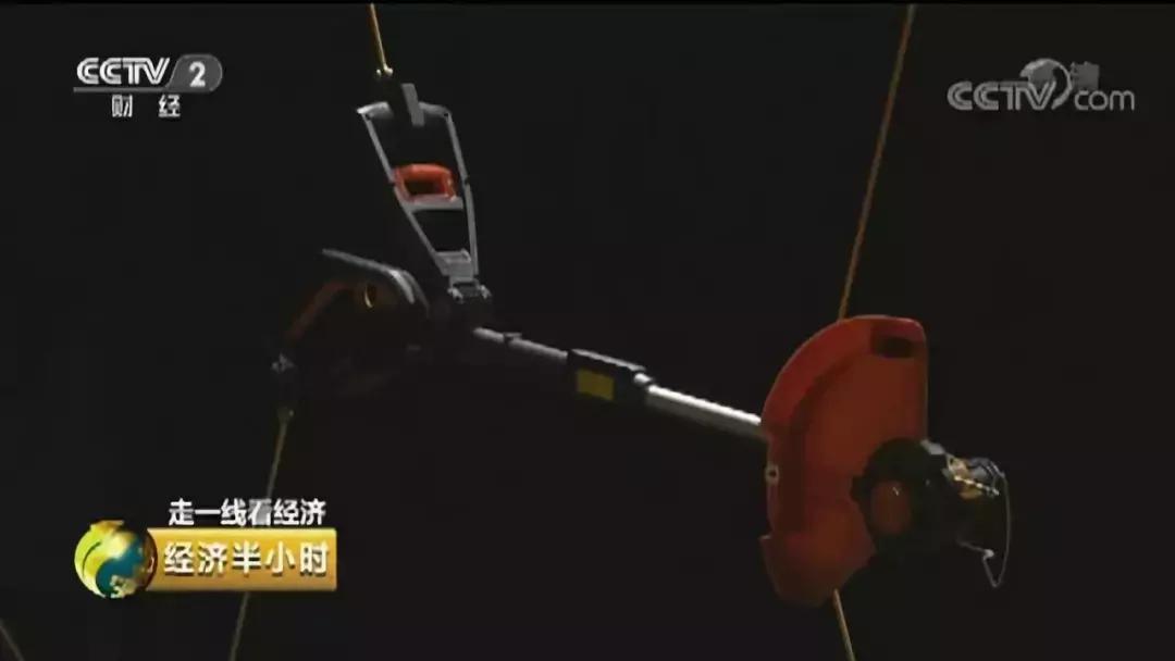 园区企业为什么这么火,央视为什么能受全民追捧