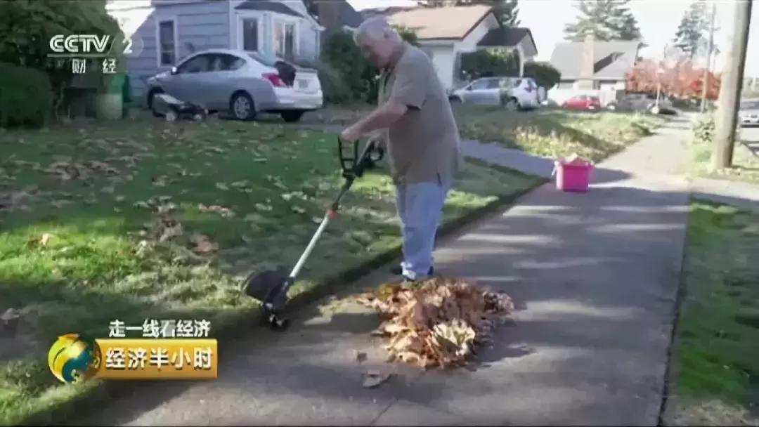 园区企业为什么这么火,央视为什么能受全民追捧