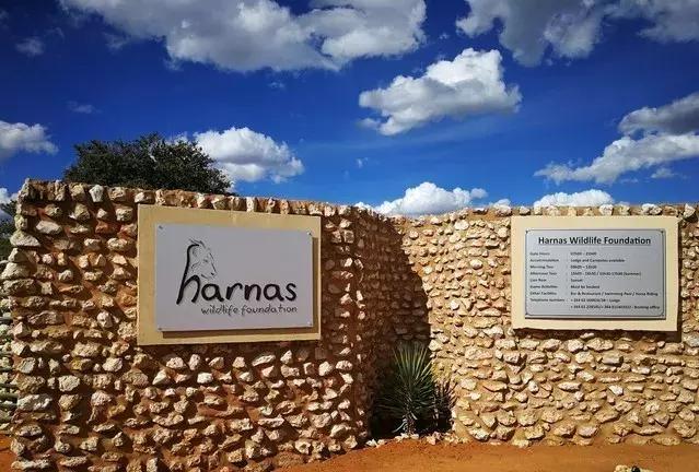 五分钟认识英国,五分钟认识奔驰