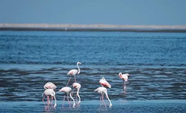 五分钟认识英国,五分钟认识奔驰