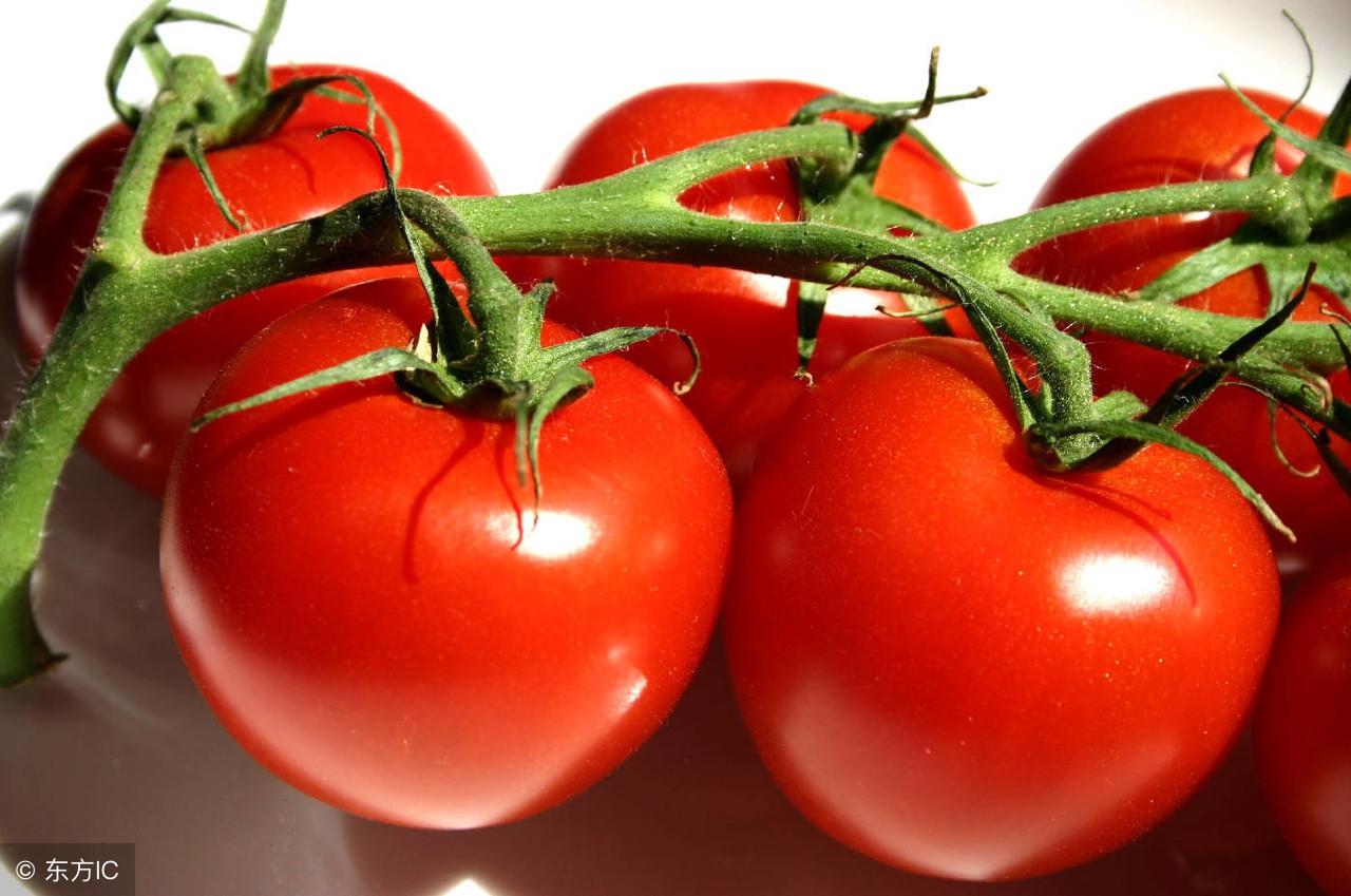 高原反应会出现哪些症状和表现,高原反应的症状原因和注意事项