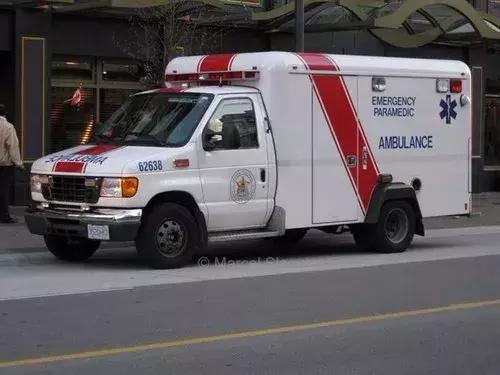 在中国耍无赖的“熊老人”，去了加拿大这下可学乖了！