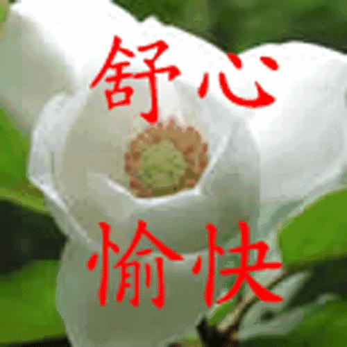 微信早安动态表情图片大全集,群主群友们早上好带字动态表情