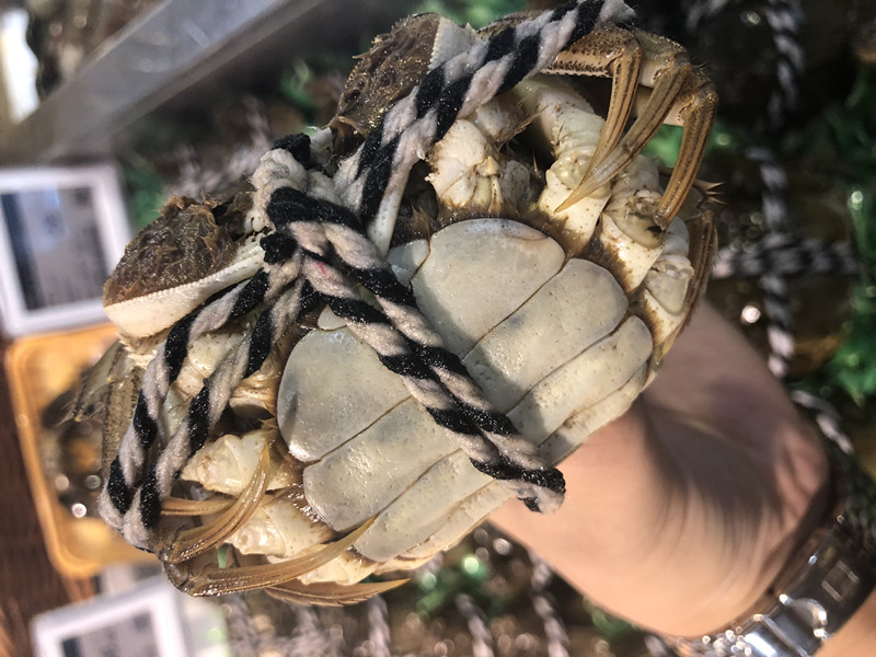 秋风起蟹脚痒又开始馋大闸蟹了,秋风起蟹脚痒你懂得怎么吃螃蟹吗