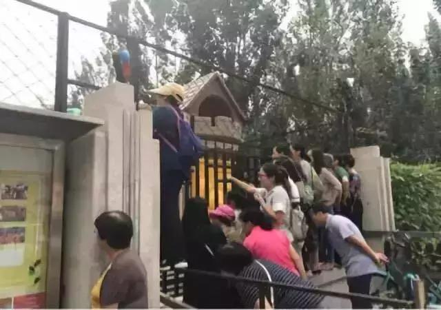 如何得知孩子在幼儿园过得好不好,怎么看孩子在幼儿园过得好不好