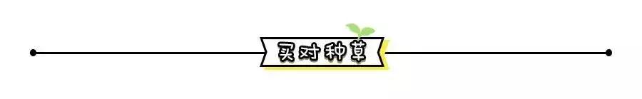 ysl和阿玛尼口红哪个好看,ysl口红416和阿玛尼405