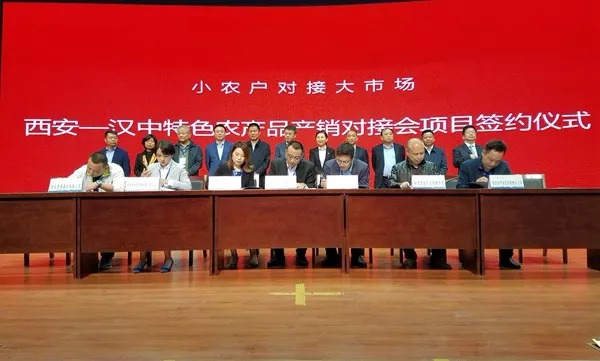 优秀2021年度工作总结简短精辟,陕西2021年度总结报告