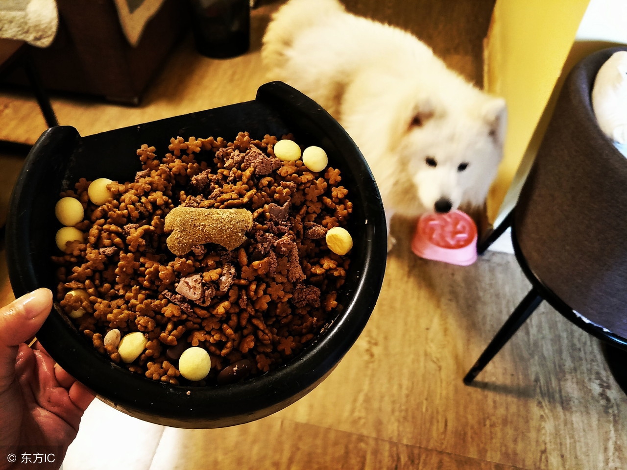 4个月的狗狗喜欢咬手怎么矫正,如何纠正狗狗爱咬人毛病