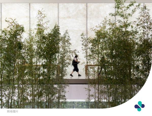 澳门小众手信饼干,澳门钜记杏仁酥和杏仁饼哪个好吃