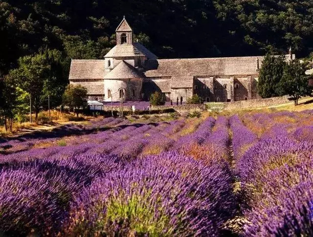 dior香水最便宜的哪一款,dior最便宜的香水