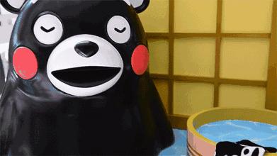 小董带你去旅行,小懂海外旅行